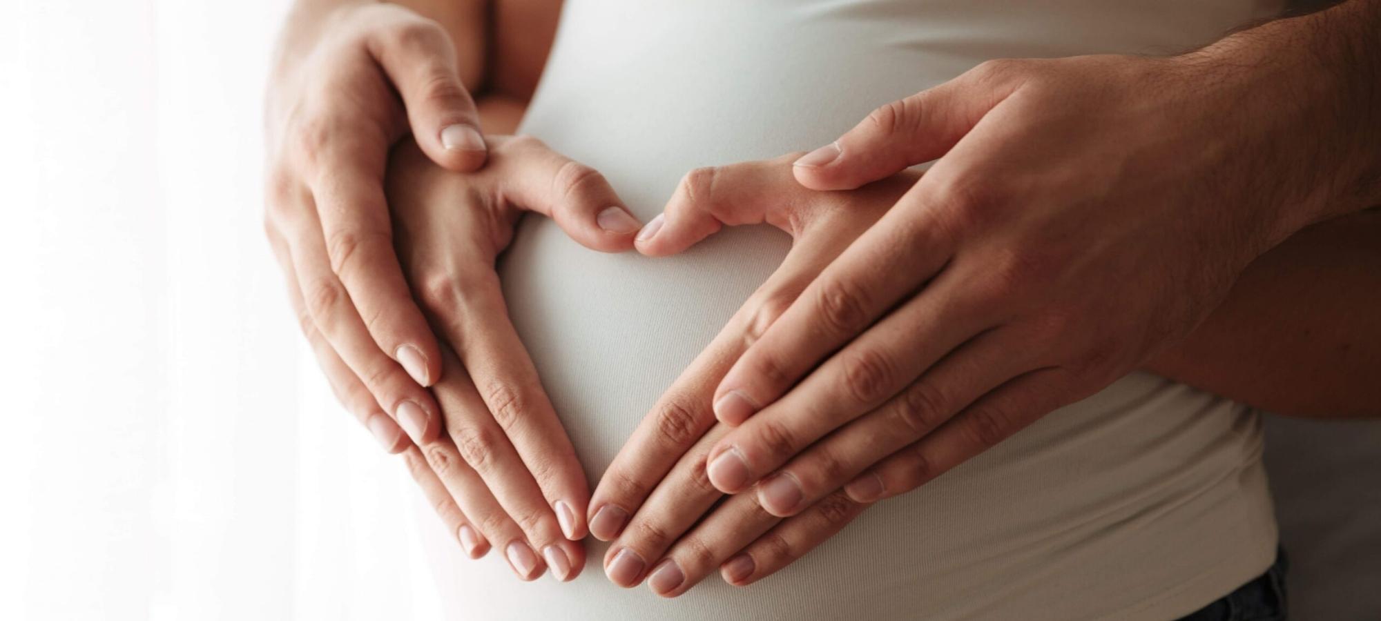 Pregnancy Care Program, Diet Plan for Pregnant Women