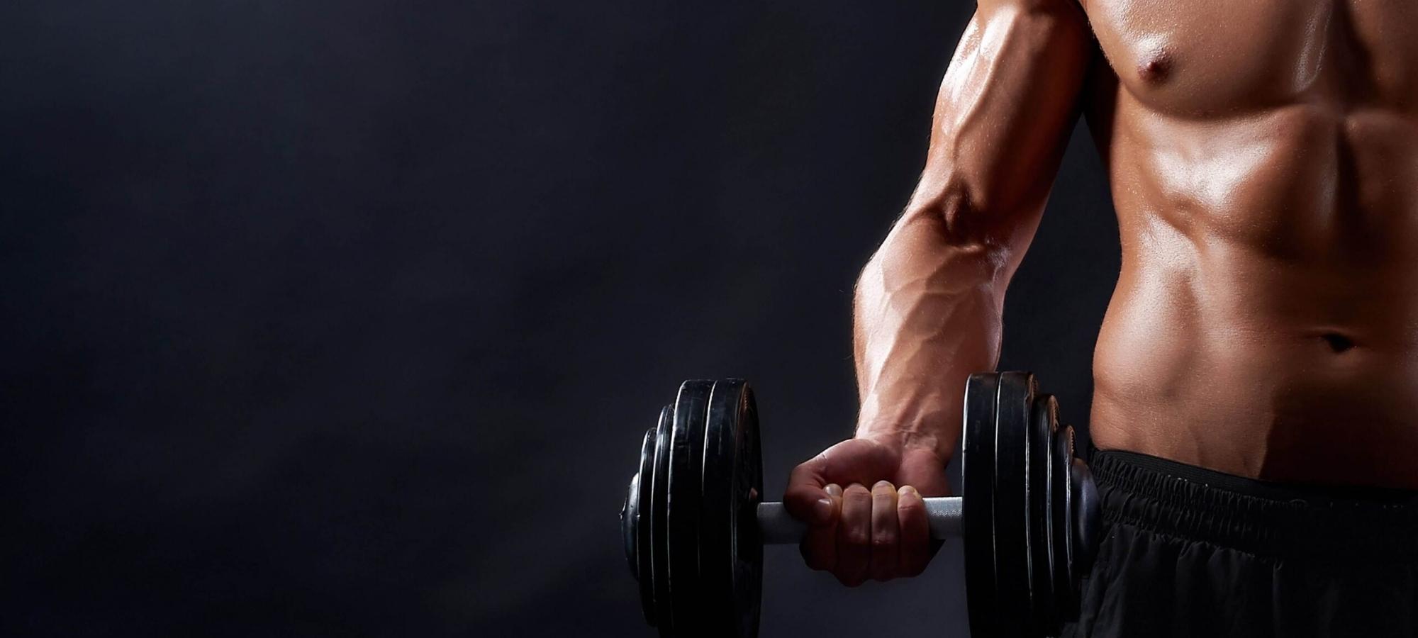 Muscle Gain Program in Chandigarh